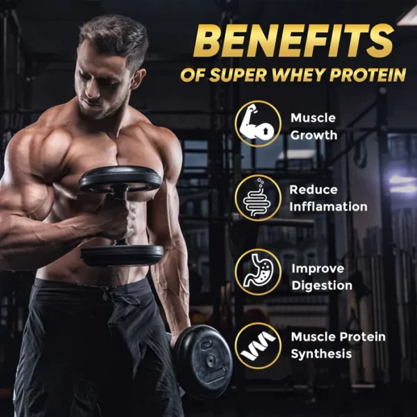 fitspire protein review